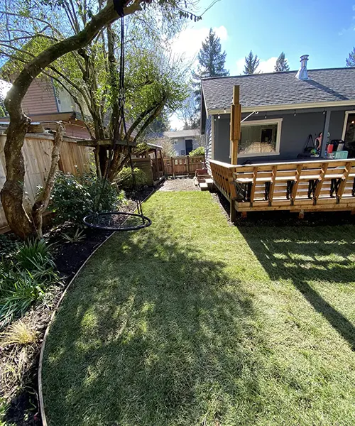 New Lawn Installation in Kent 